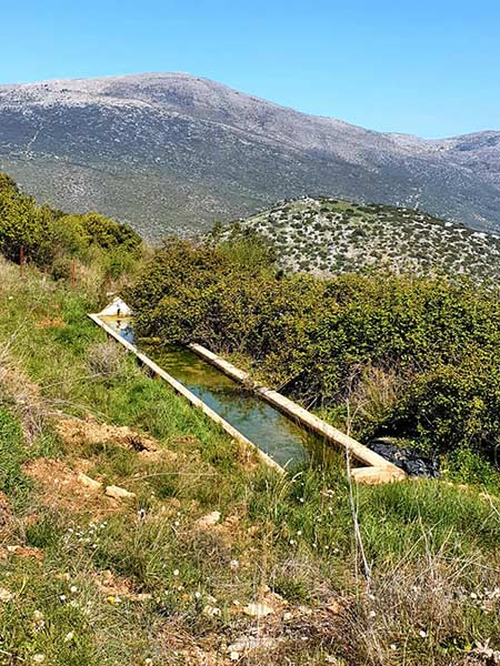 fotografias de la ruta pedestre por el sendero Luca de Carcabuey