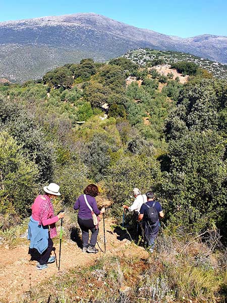 fotografias de la ruta pedestre por el sendero Luca de Carcabuey