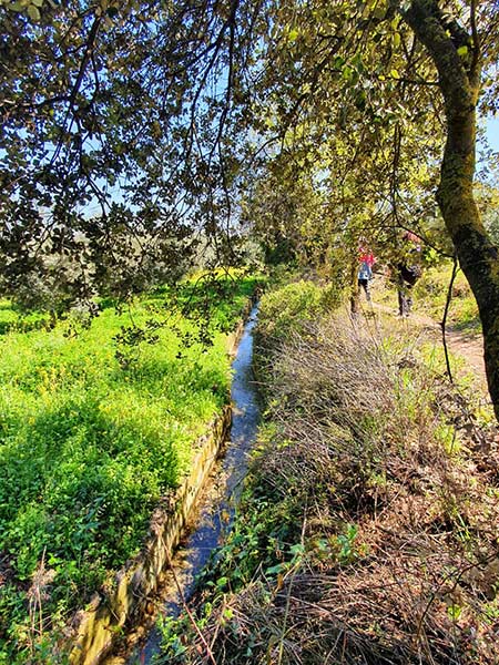 fotografias de la ruta pedestre por el sendero Luca de Carcabuey