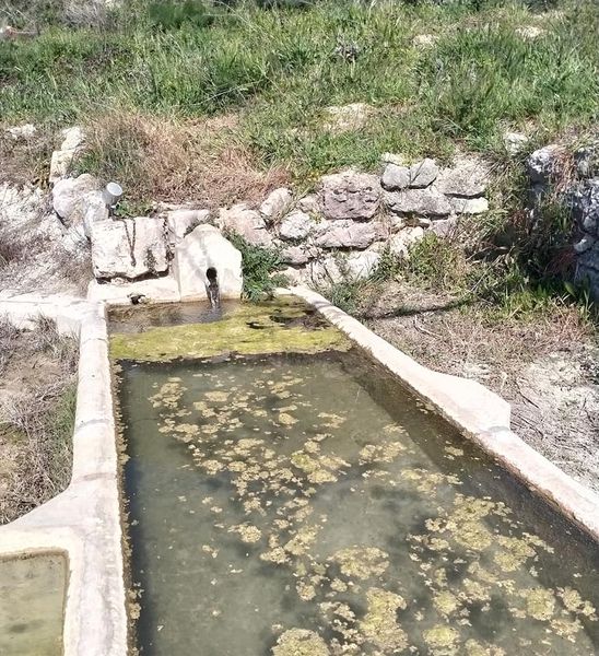 fotografias de la ruta pedestre por el sendero Luca de Carcabuey