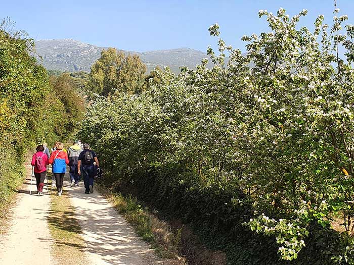 Fotografía de la ruta por el valle de los menbrillos
