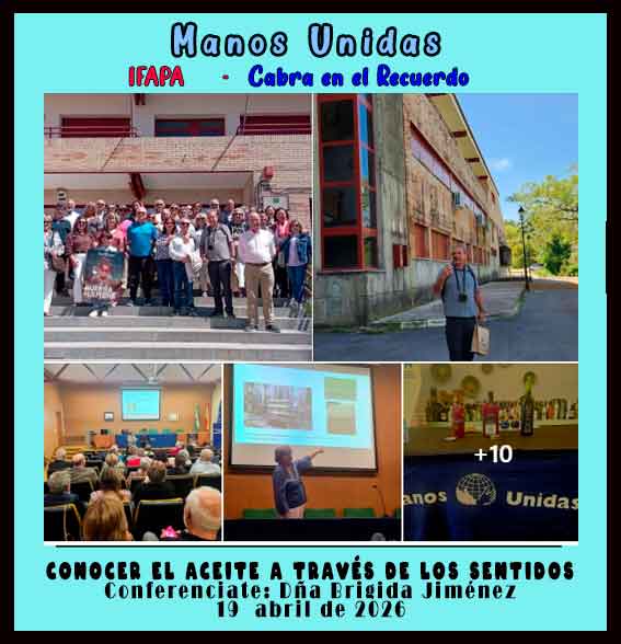 Manos Uniddad Conferencia la cultura del aceite de oliva