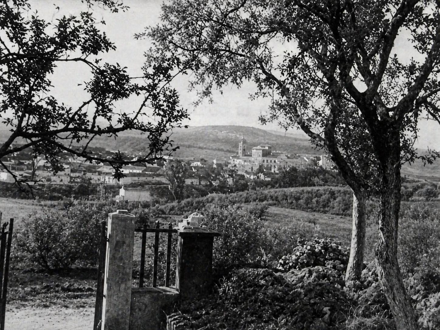 Fotografía del paisaje  de Cabra