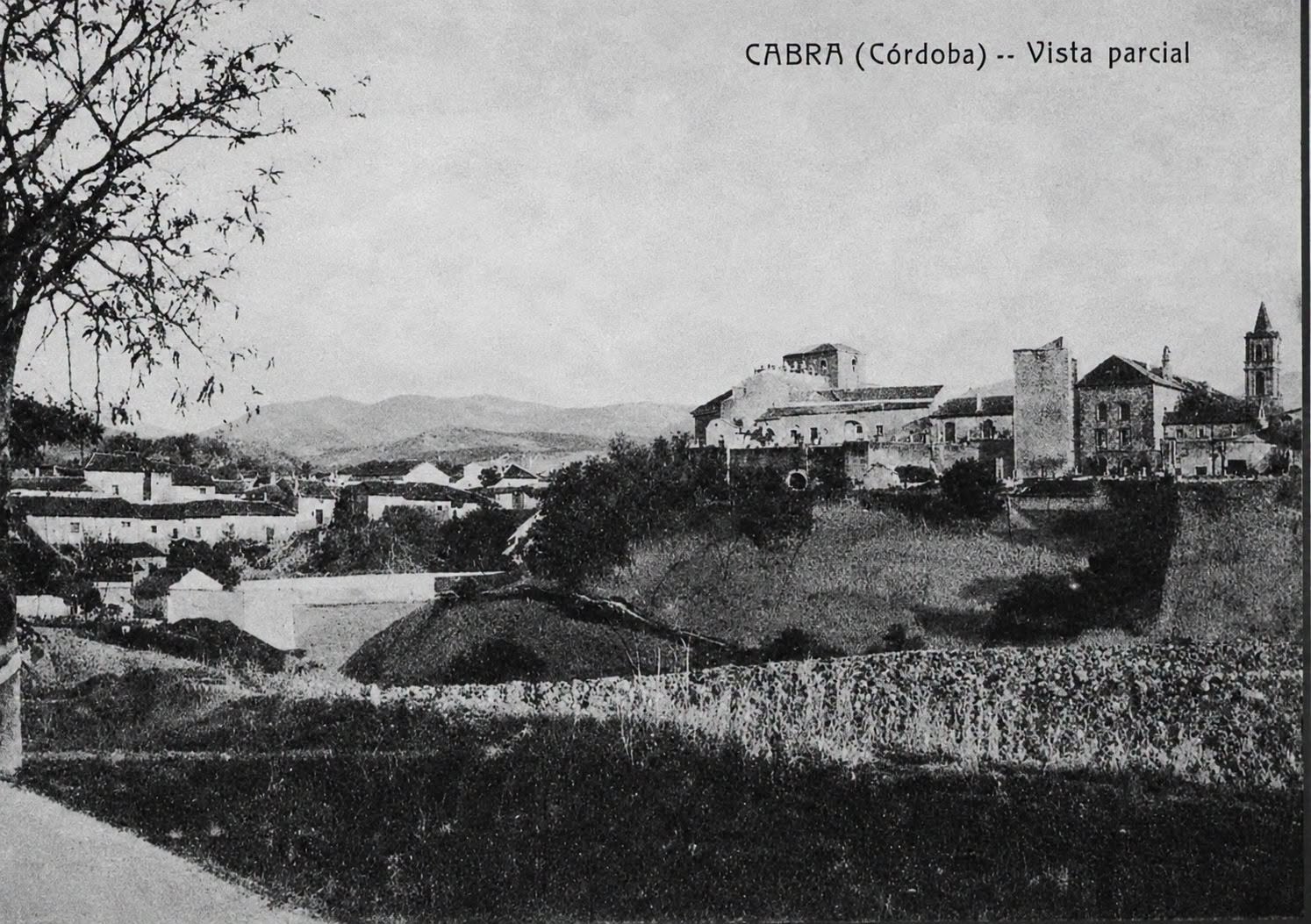 Fotografía del paisaje de Cabra