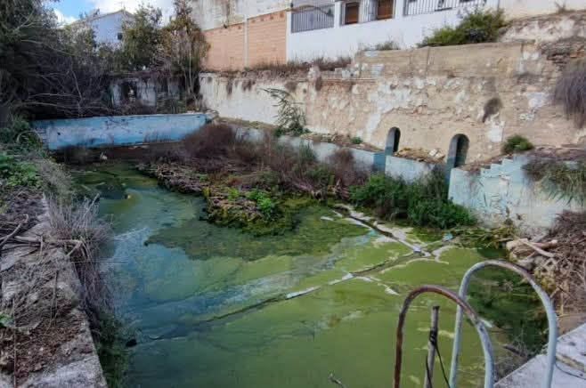 Fotografía relativa a la piscinas-católica egabrense