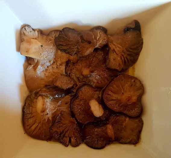 Fotografía relativa a la platos-católica egabrense