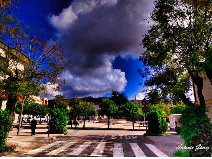 fotografías de las plazas de Cabra