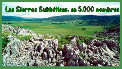 Las Sierras Subbéticas, en 5.000 nombres 