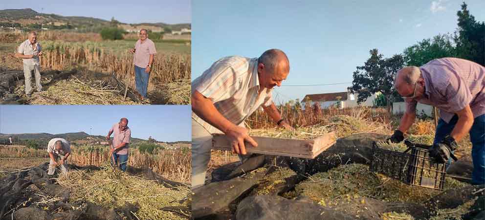 fotos de profesiones o aficiones en Cabra en el Recuerdo