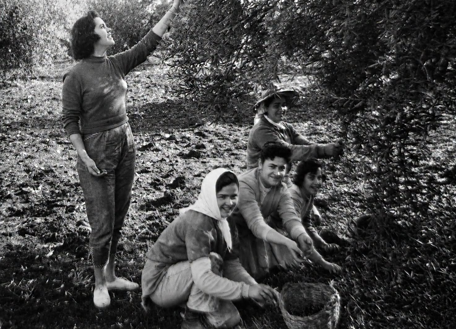Fotografía de  la sociedad egabrense