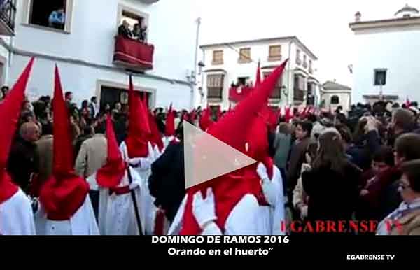 fotografías relacionadas con la Hermandad del Huerto de Cabra.