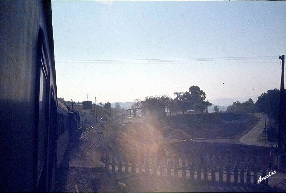 Fotografias del tren del aceite 
