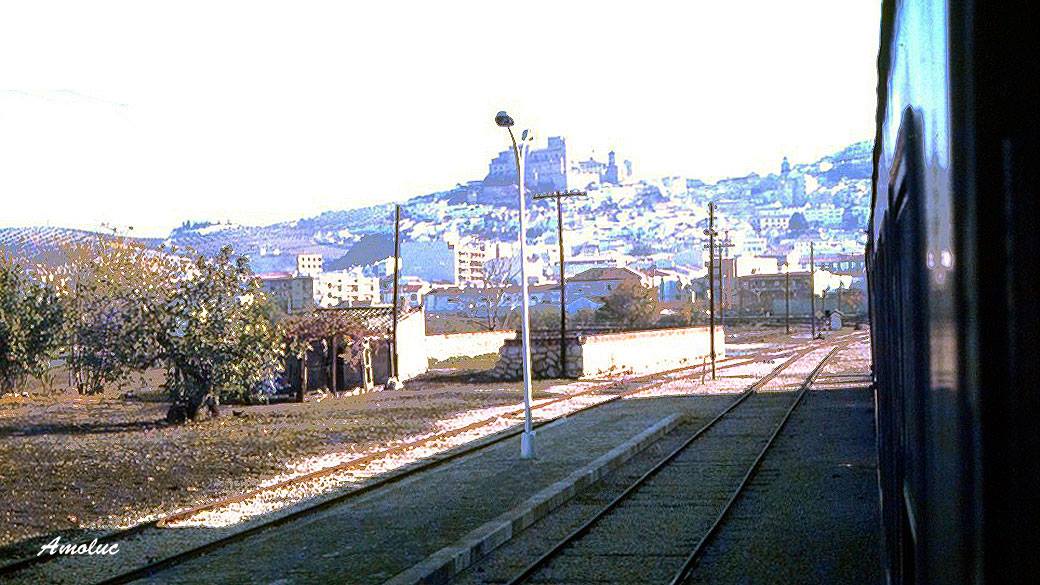 Fotografias del tren del aceite