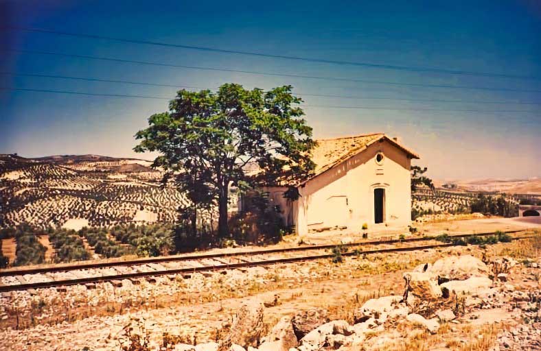 Fotografias del tren del aceite