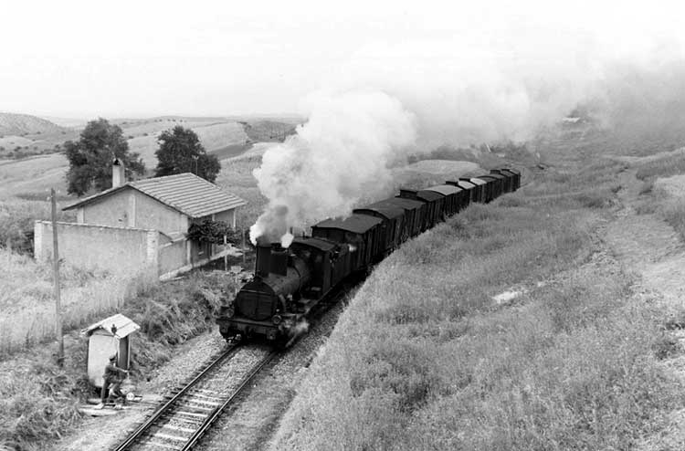 Fotografias del tren del aceite