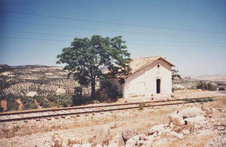 Fotografias del tren del aceite