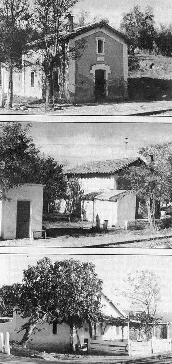 Fotografias del tren del aceite