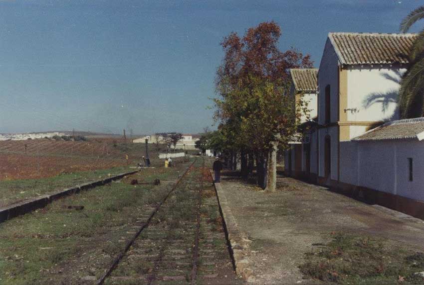 Fotografias del tren del aceite