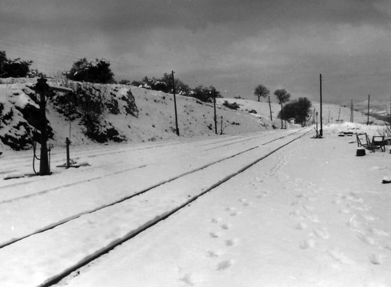 Fotografias del tren del aceite