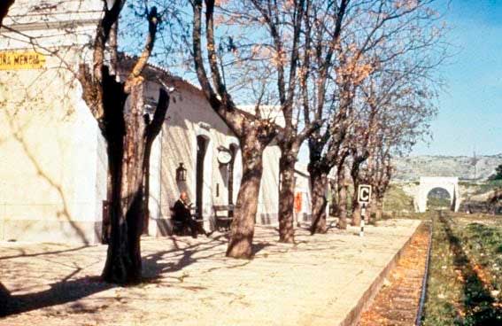 Fotografias del tren del aceite