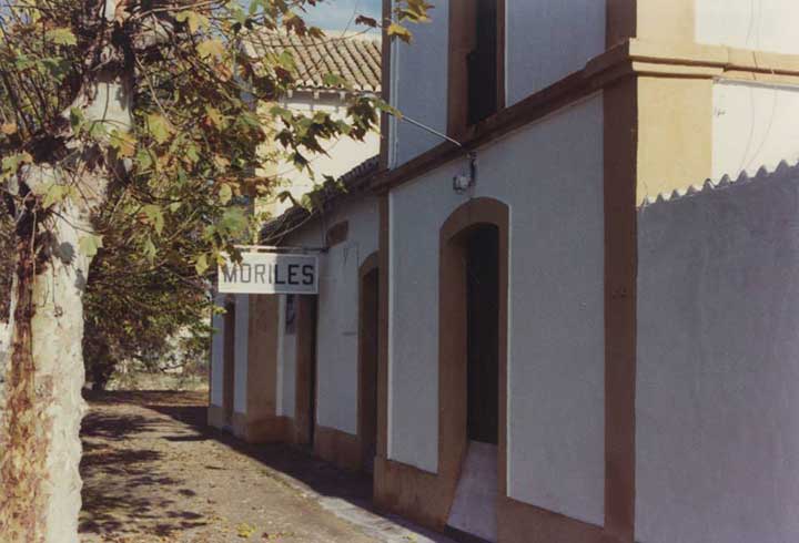 Fotografias del tren del aceite