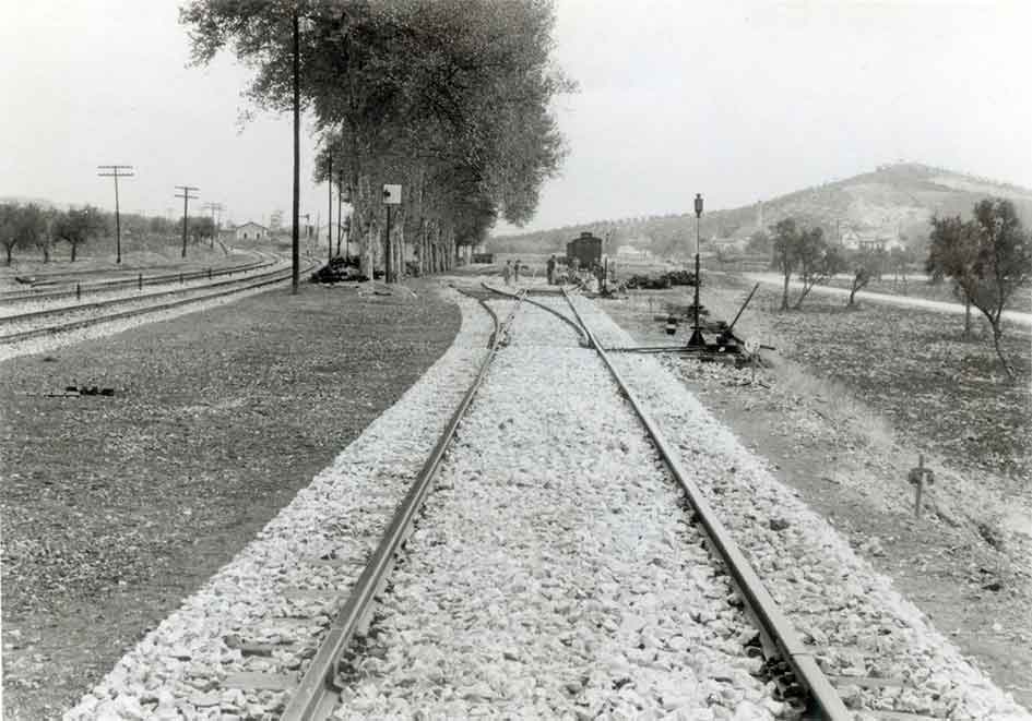 Fotografias del tren del aceite