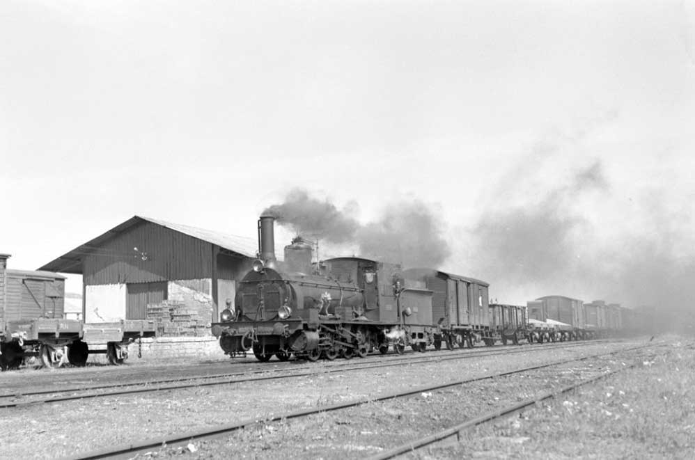 Fotografias del tren del aceite