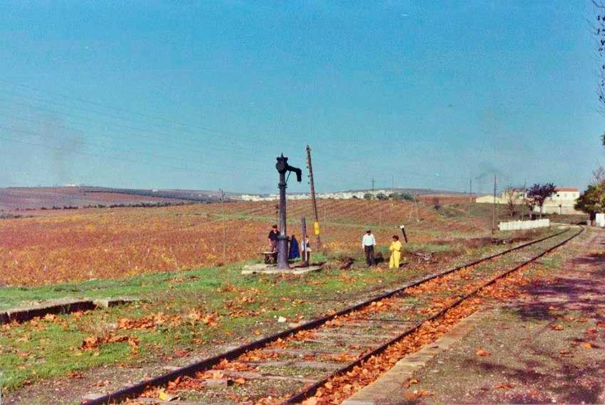 Fotografias del tren del aceite