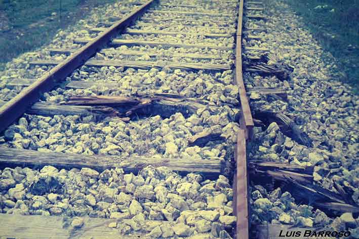 Fotografias del tren del aceite