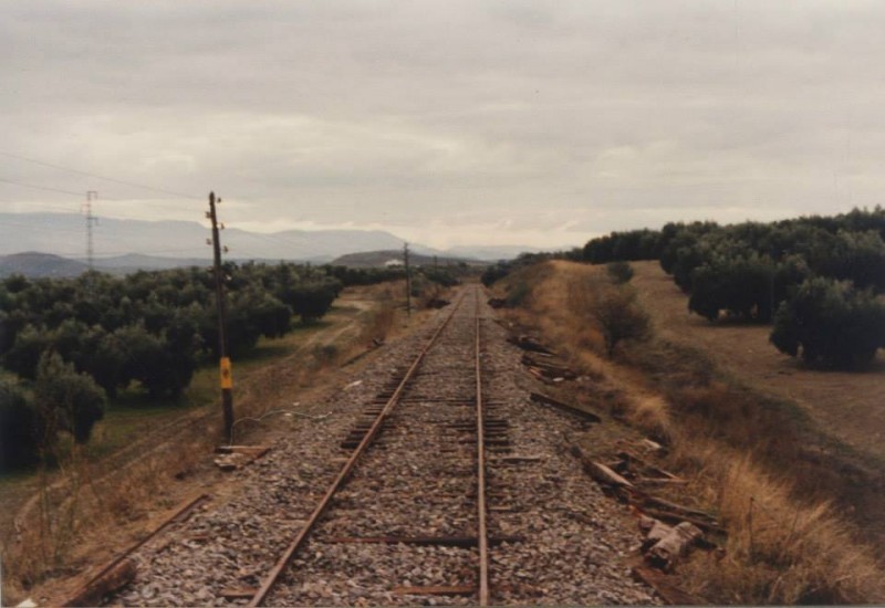 Fotografias del tren del aceite
