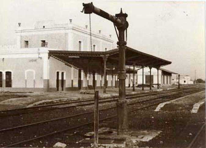 Fotografias del tren del aceite