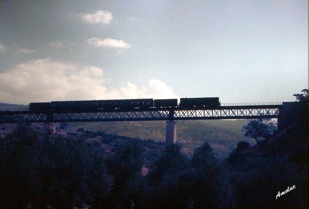 Fotografias del tren del aceite