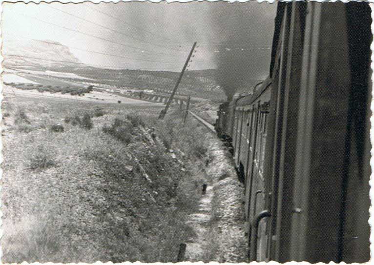Fotografias del tren del aceite