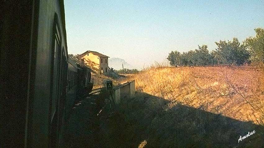 Fotografias del tren del aceite