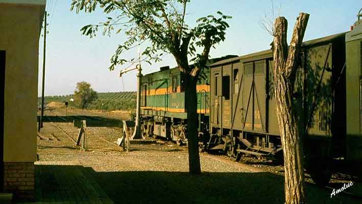 Fotografias del tren del aceite