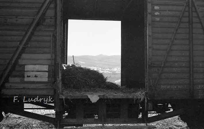 Fotografias del tren del aceite