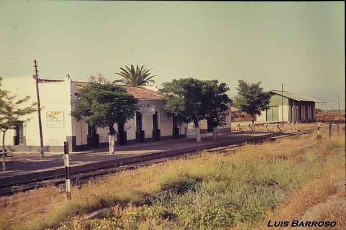 Fotografias del tren del aceite