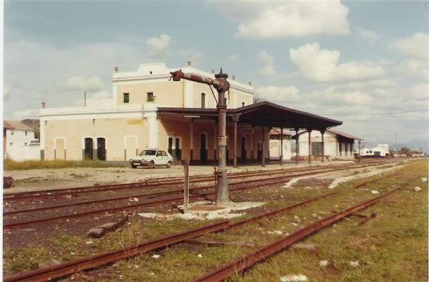 Fotografias del tren del aceite
