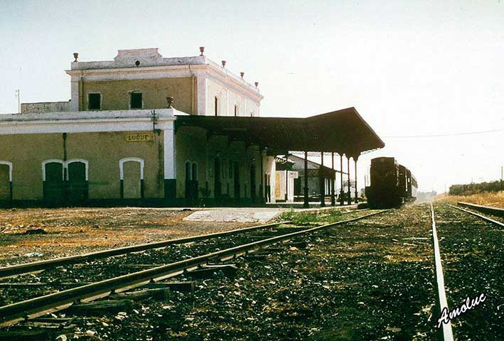 Fotografias del tren del aceite