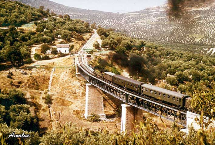 Fotografias del tren del aceite