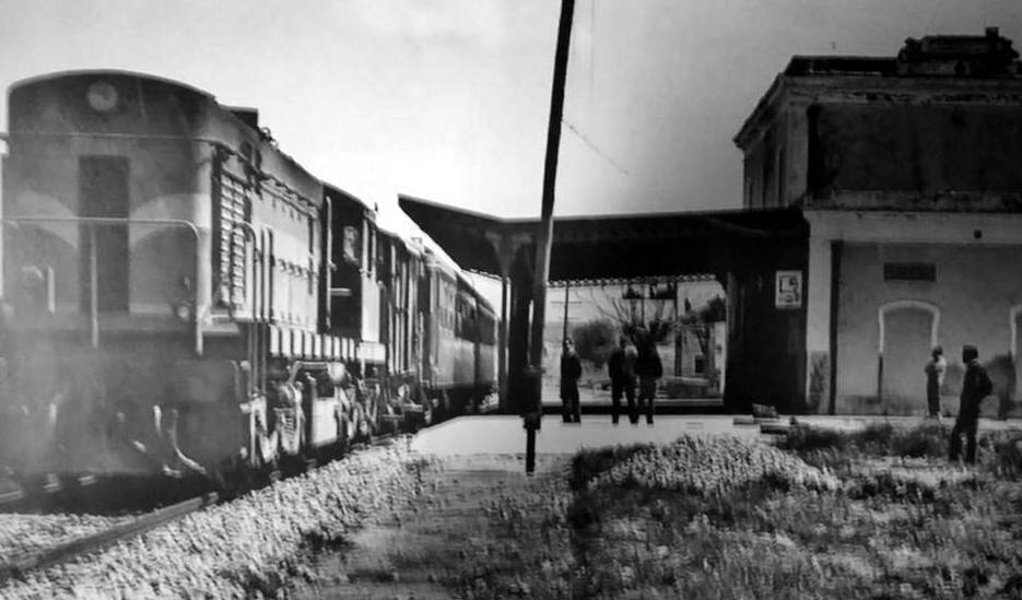 Fotografias del tren del aceite